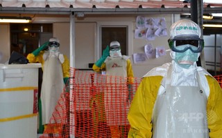 エボラウイルス、感染9か月後に検出 一部生存者精液から エボラウイルス、感染9か月後に検出 一部生存者精液から