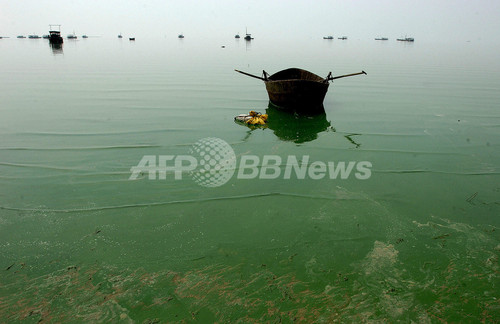 中国で川の水に触れた60人以上が病院へ 中国で川の水に触れた60人以上が病院へ