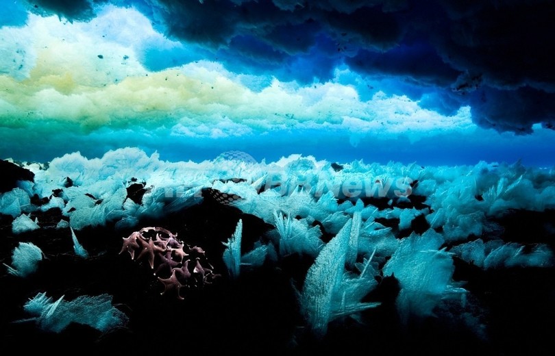 深海にCO2を蓄積する「渦」、南極海で発見 英豪研究 深海にCO2を蓄積する「渦」、南極海で発見 英豪研究