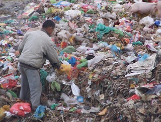 海中に漂うプラスチックはプランクトンの半分に匹敵 「海を殺すことは自分を殺すこと」 海中に漂うプラスチックはプランクトンの半分に匹敵 「海を殺すことは自分を殺すこと」