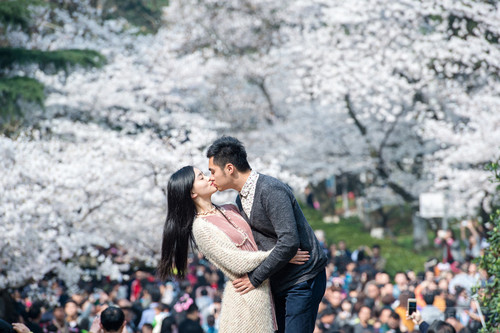 【国際】中国の大学、東京・渋谷でサクラの起源主張『武漢は桜の故郷』CM放映…中国の有識者憤慨「低レベルな世界的恥さらしだ！」©2ch.net YouTube動画>8本 ->画像>31枚 