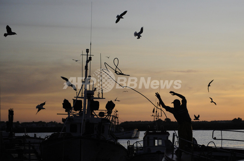 EU加盟各国、魚投棄禁止措置実施で合意 EU加盟各国、魚投棄禁止措置実施で合意