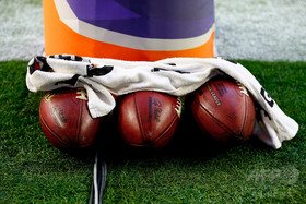 「胸が痛む」NFL選手が愛犬盗難被害に、身代金を要求される 「胸が痛む」NFL選手が愛犬盗難被害に、身代金を要求される