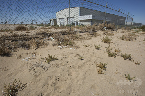 大麻栽培に起死回生を図る街、米カリフォルニア 大麻栽培に起死回生を図る街、米カリフォルニア