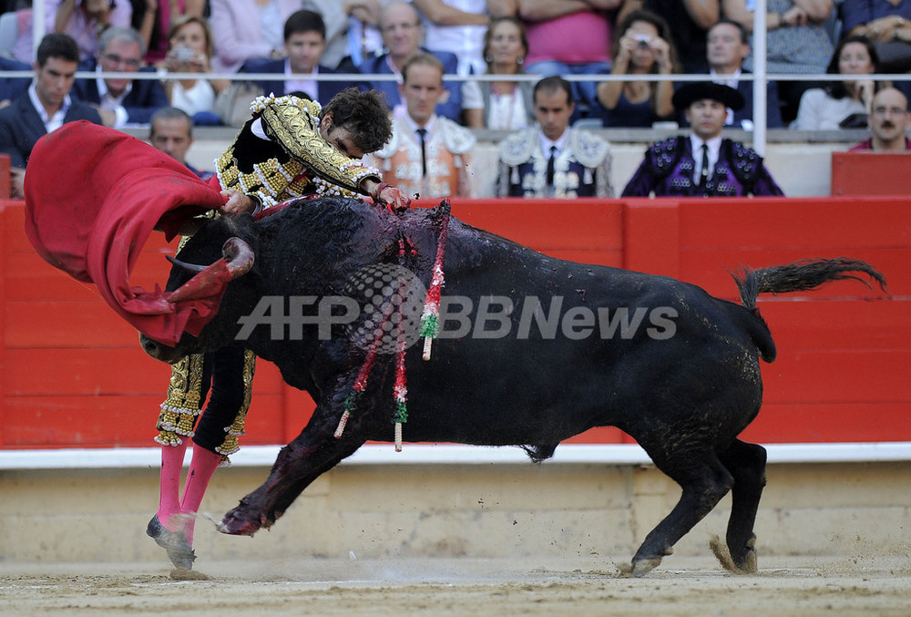 バルセロナで最後の闘牛、来年1月から禁止 写真6枚 国際ニュース:AFPBB News