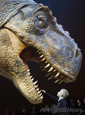 T・レックスは何色?絶滅爬虫類の皮膚色素を特定、研究 T・レックスは何色?絶滅爬虫類の皮膚色素を特定、研究