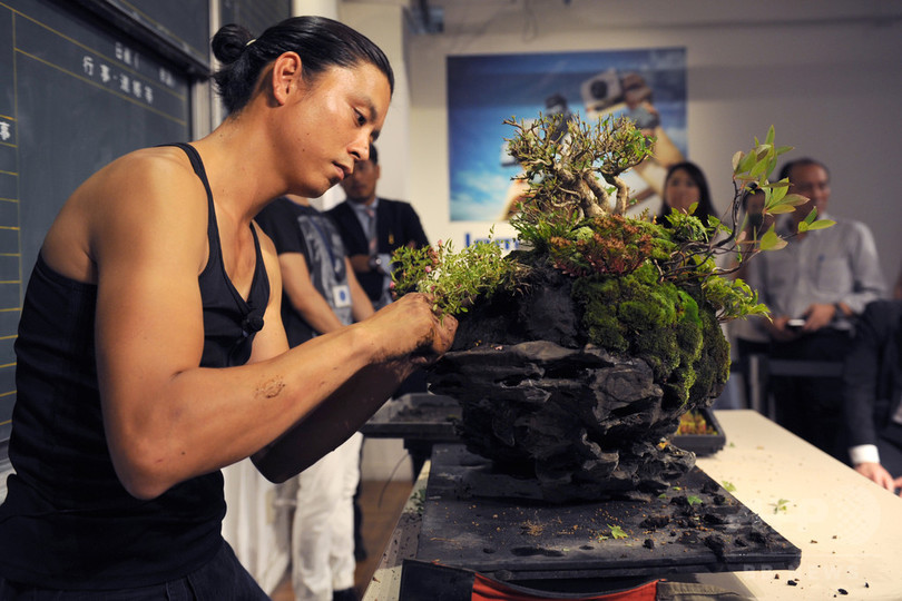 異色の盆栽師、平尾成志が魅せる現代のBONSAI 異色の盆栽師、平尾成志が魅せる現代のBONSAI