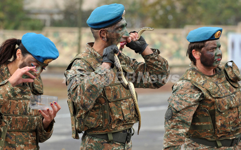 ヘビやカエルを生きたまま…アルメニア軍偵察部隊の訓練 写真3枚 国際ニュース:AFPBB News