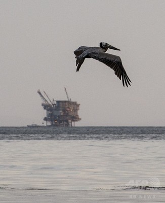 米加州でパイプライン破裂、太平洋に石油流出 米加州でパイプライン破裂、太平洋に石油流出