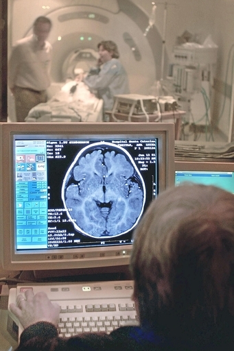 「間違った記憶はなぜ起こるのか」、脳の働きをMRIで分析