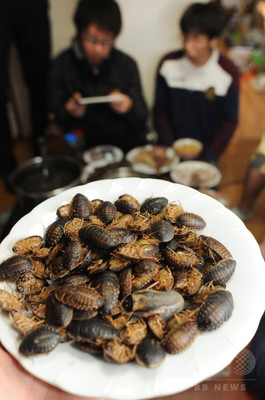 動画:コオロギやゴキブリが食材に、昆虫食伝道師の鍋パーティー 動画:コオロギやゴキブリが食材に、昆虫食伝道師の鍋パーティー