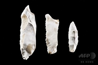 新石器時代に残虐な集団暴力行為、独で発見の人骨示唆 研究 新石器時代に残虐な集団暴力行為、独で発見の人骨示唆 研究