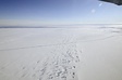 南極巨大氷河の融解進む、20年で1センチの海面上昇も 研究