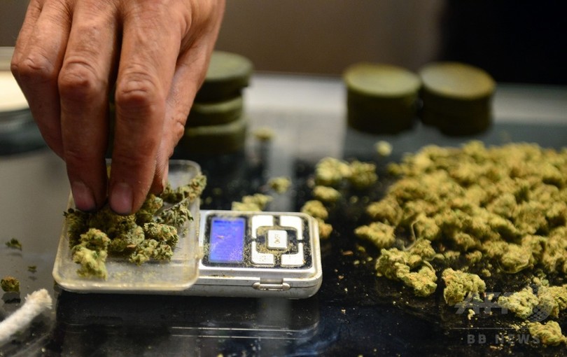 ドイツ、医療大麻を合法化へ 保健相が表明 ドイツ、医療大麻を合法化へ 保健相が表明