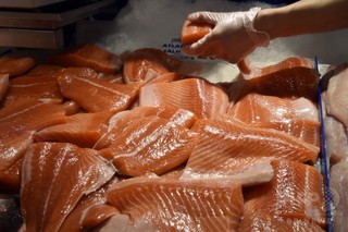 米、遺伝子組み換えサケに食用認可 米、遺伝子組み換えサケに食用認可