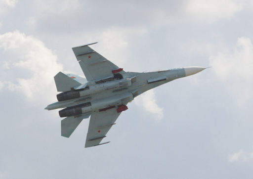 ベラルーシ空軍戦闘機が墜落、航空ショー中にバードストライクで