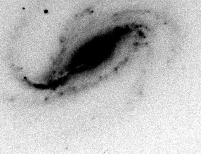 超新星の「ビフォーアフター」、アマチュア天文家が偶然撮影 超新星の「ビフォーアフター」、アマチュア天文家が偶然撮影