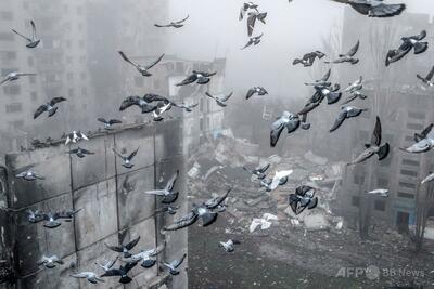 ロシアとの戦争リスク、EU市民の過半数が「高い」と認識 世論調査