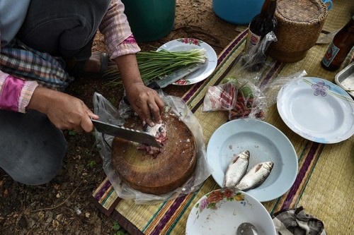 昼食の生魚料理が肝がんの原因に、地元の食習慣と闘う医師 タイ 昼食の生魚料理が肝がんの原因に、地元の食習慣と闘う医師 タイ