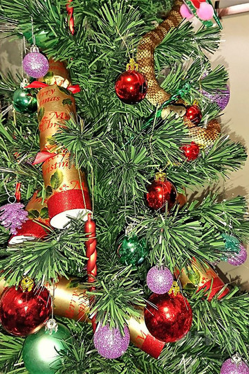 クリスマスツリーの飾りにまぎれて猛毒ヘビ、豪民家で発見 クリスマスツリーの飾りにまぎれて猛毒ヘビ、豪民家で発見