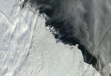 北極圏の海氷の量、前年比50%回復
