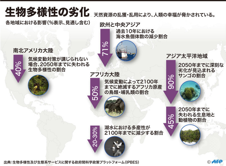 失われる生物多様性、人間の幸福も危機に 報告 写真1枚 国際ニュース：afpbb News