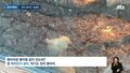 韓国・亀尾の動物園で虐待疑惑…100匹以上が劣悪環境に放置
