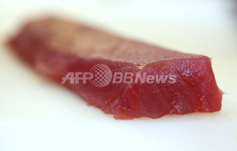 お手頃価格のマグロ、それは本マグロじゃない お手頃価格のマグロ、それは本マグロじゃない