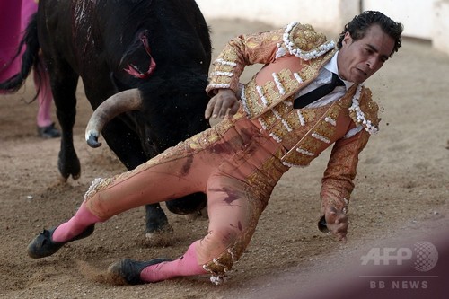スペインの人気闘牛士、牛に角で刺されて死亡 フランス スペインの人気闘牛士、牛に角で刺されて死亡 フランス