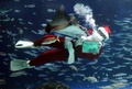 サンシャイン水族館にサンタ登場、魚もツリーの形に