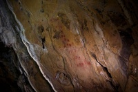 世界最古の洞窟壁画、ネアンデルタール人の複雑な感性示す