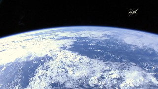 35億年前の化石に微生物、最古の生命痕跡を確認 米大チーム 35億年前の化石に微生物、最古の生命痕跡を確認 米大チーム