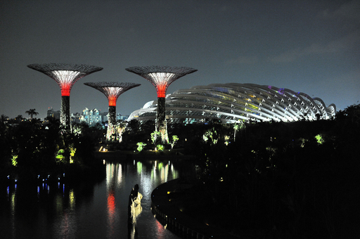 巨大な人工木「スーパーツリー」が出現、シンガポール