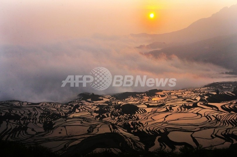 未知の原始人類? 中国の「紅鹿人」 豪中研究 未知の原始人類? 中国の「紅鹿人」 豪中研究