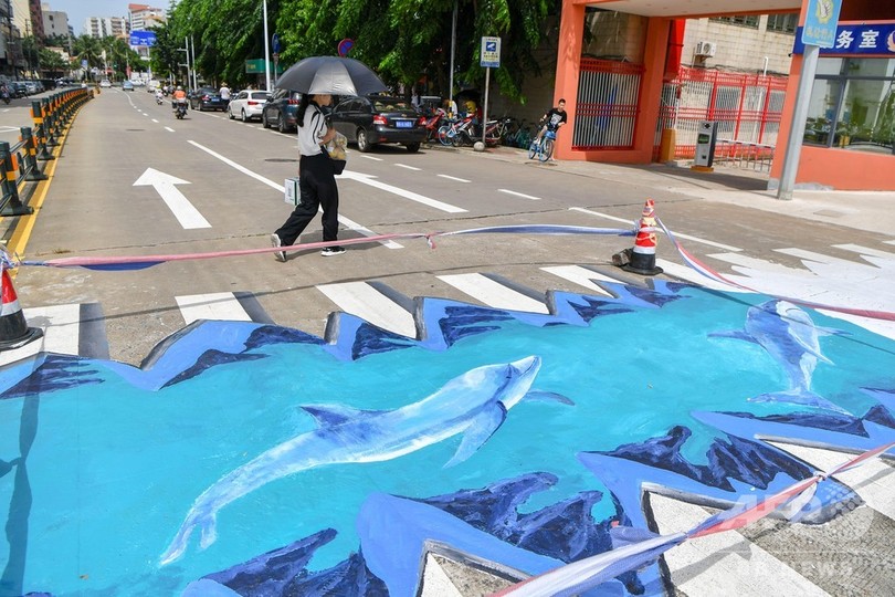 横断歩道で泳ぐイルカ 海南海口 横断歩道で泳ぐイルカ 海南海口