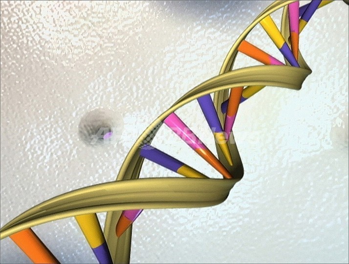 DNAの特殊変化でがん細胞を特定、米大研究 DNAの特殊変化でがん細胞を特定、米大研究