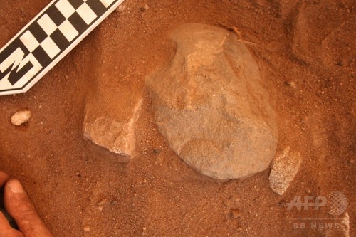現生人類、6万5000年以上前に豪州到達 研究 現生人類、6万5000年以上前に豪州到達 研究