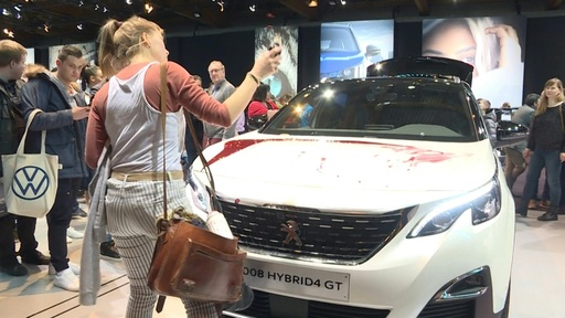 動画：展示車に血!? ベルギーのモーターショーで「絶滅への反逆」が抗議