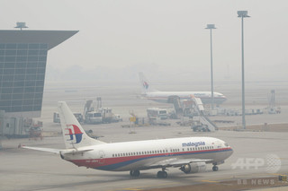 一緒に搭乗予定だった猫が行方不明に、飼い主がマレーシア航空を非難 一緒に搭乗予定だった猫が行方不明に、飼い主がマレーシア航空を非難