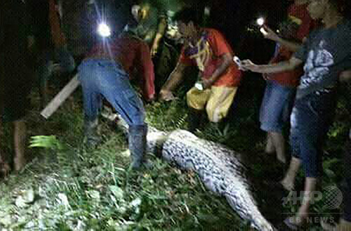 体長7メートルのヘビが人をのみ込む 腹部から男性の遺体 インドネシア