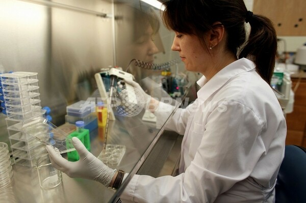 韓国、ES細胞の研究再開を条件付きで認める
