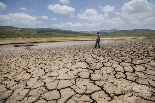 中米で深刻な干ばつ、農業に甚大な被害