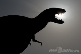 恐竜は「中温動物」、米チームが新説発表 恐竜は「中温動物」、米チームが新説発表