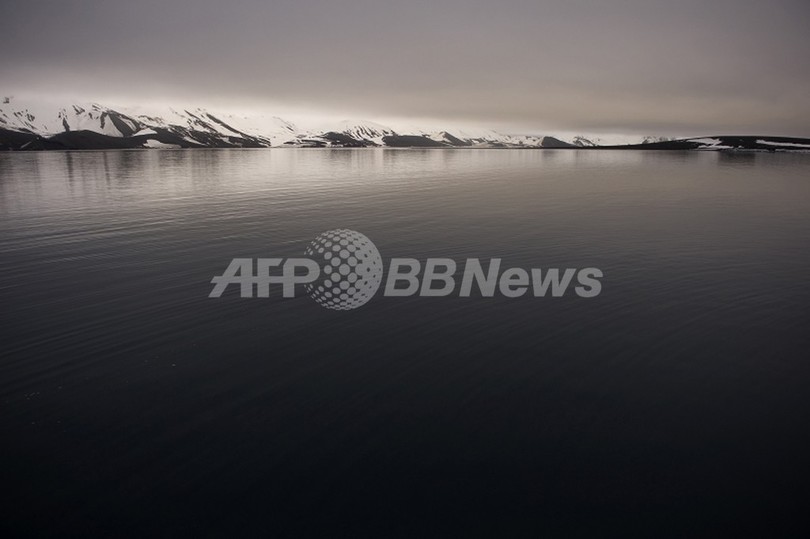 海の酸性化で「海の蝶」の殻が溶解、南極海調査 海の酸性化で「海の蝶」の殻が溶解、南極海調査