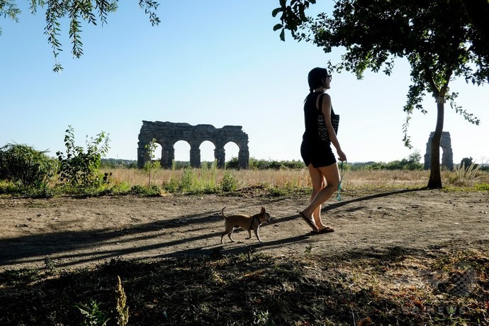 犬の看病に傷病手当、イタリア裁判所が認める 「ペットは家族」 犬の看病に傷病手当、イタリア裁判所が認める 「ペットは家族」