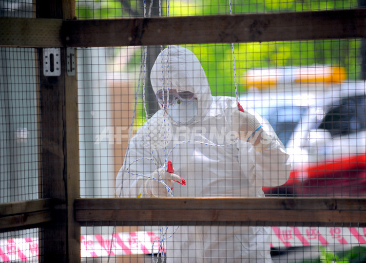 宮崎県で鳥インフル確認、1万羽殺処分 宮崎県で鳥インフル確認、1万羽殺処分