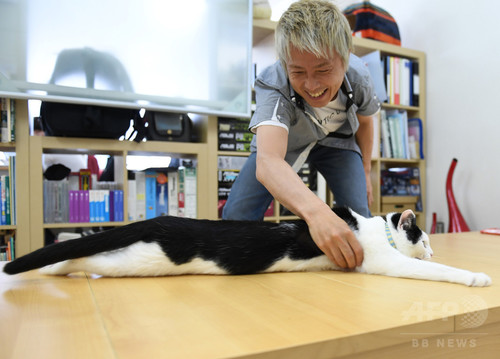 動画:オフィスに「猫同伴通勤」、ニャンとも癒やされるIT会社 東京 動画:オフィスに「猫同伴通勤」、ニャンとも癒やされるIT会社 東京