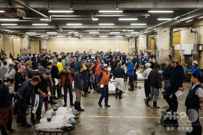 築地市場の歴史に幕、最後のマグロの競り 築地市場の歴史に幕、最後のマグロの競り