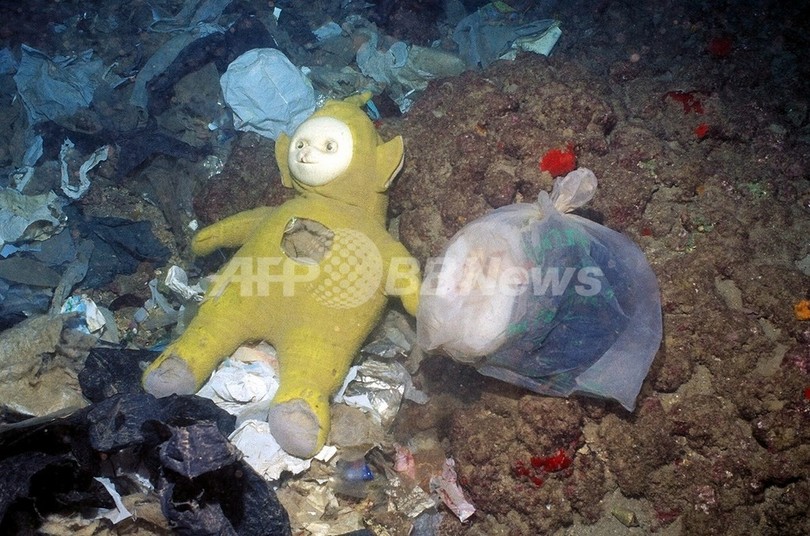巨大プラスチックボトルに入って太平洋横断、豪人男性が計画 巨大プラスチックボトルに入って太平洋横断、豪人男性が計画