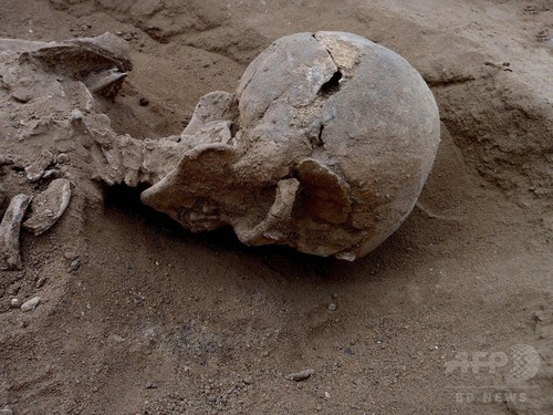 1万年前の人骨に「集団虐殺」の痕跡、研究で解明 1万年前の人骨に「集団虐殺」の痕跡、研究で解明